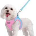 rabbitgoo Dog Harness Small Sized and Leash Set, Step in Soft Light Puppy Vest, Breathable Mesh Pet Harness, Reflective for Safe Easy Walking, Blue & Light Pink M (M (Chest: 16 - 18.5"))