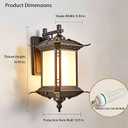 Asian Pagoda Style Outdoor Wall Lantern, Waterproof Bronze Finish Exterior Sconce Light with Gold Accents, Metal & Glass E27 Base for Porch, Garden, Patio, Courtyard, Temple, Entryway(Bulb Included), One Size