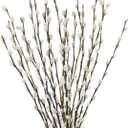 20 Pcs Natural Preserved Dried Flowers Pussy Willow Branches for Vases Stems Real Willows 19.7" White Snow Pussywillows for Indoor and Outdoor Decor Wedding Home Party Hotel Fireplace Easter