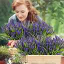 Waipfaru 36 Bundles Artificial Plants Outdoor,Fake Flowers UV Resistant Outdoor Fake Plants,Faux Lavender Shrubs for Window Garden Patio Hanging Planter Pathway Front Porch (Purple)