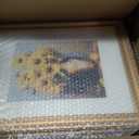 Splinterix 12x16 Picture Frame Gold Vintage, Matted to 8.5x11 Print, 4 Pack
