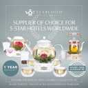 Teabloom Modern Classic Insulated Cups  6 oz / 200 ml  Set of 2 Double Walled Glass Cups for Tea or Coffee (2 Count (Pack of 1))