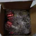 Lichamp AC R134A Adapters Kit, 134a Quick Couplers with Self Sealing and Puncture Can Taps, QA01