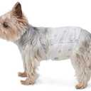 Amazon Basics Super Absorbent Male Dog Diapers, Leak-Proof Disposable Wrap with Wetness Indicator, Secure Fit, Breathable, X-Small, 30 Count, Set of 2