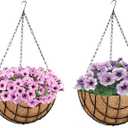 Deepthi Hanging Planter Baskets with Coco Coir Liners Pack of 2 Metal Wire Flower Pots with Chains Indoor Outdoor Porch Patio Garden Hanging Decor for Plants, Flowers, Herbs (12 inch)