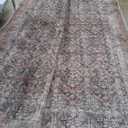 Loloi Amber Lewis Billie Collection, Ink & Salmon 8'-6" x 11'-6" Area Rug  Antique & Distressed Accent Rugs for Living Room, Bedroom, Entryway & Hallway, No Shed High Traffic Area Home Decor Rug