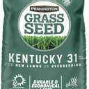 Pennington Kentucky 31 Fescue 40 LB Tall Fescue Grass Seed, Grass Seeds for Lawn