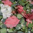 Waipfaru Artificial Flower Garland, 6.07ft Eucalyptus Garland with Flowers for Wedding Reception Table Mantle Room Decor (Rose Pink)