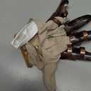 Rubies A Nightmare on Elm Street: Freddy Krueger Supreme Edition Glove for Adults, Men's