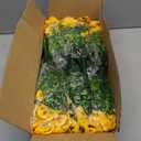 36 Pcs Artificial Fake Pansy Flowers for Outdoor, Faux Silk Pansies Spring Flowers for Outside for Planter Front Door Porch Yard Patio Window Box Home Decor (36, Purple, Yellow, White)