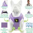 EcoBark Premium Quality Step in Dog Harness - Teacup Dog Harnesses - Perfect Puppy Harness - Luxury Soft Mesh Step in Vest - No Pull Mini Body Halter - Toy Breed Harnesses (XXXS, Lavender)
