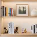 Book Ends for Shelves to Hold Books Heavy Duty,Decorative Bookend for Bookshelf Dcor,Cute Animal Dog Book Stopper Labrador Retriever Statues for Home, Office Desk Decoration,1pair