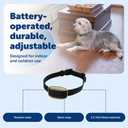 PetSafe Pawz Away Indoor/Outdoor Extra Receiver Collar for Cats and Dogs for Wireless Pet Barrier System