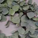 20" Mixed Eucalyptus Wreath Traditional and Symbolic Greenery Arrangement for Wedding Decor Front Door Wall Window Farmhouse Christmas Festival Porch Patio Garden Decor