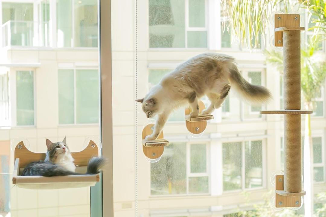 4-in-1 Window & Wall Mount Cat Wall Shelves  Hammock, Scratching Post & Perch | Fits up to 40 lbs | Space-Saving Pet Furniture for Windows, Glass & Drywall | Modern Wood Cat Shelf Set