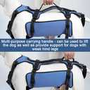 Coodeo Dog Lift Harness, Support & Recovery Sling, Pet Rehabilitation Lifts Vest Adjustable Breathable Straps for Old, Disabled, Joint Injuries, Arthritis, Paralysis Dogs Walk (Blue,M)