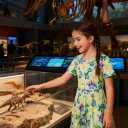 RAISEVERN Girls Dresses Short Sleeve for School Casual T-Shirt Dress Age 4-9 Years (7-8 Years, D1-dinosaur)