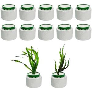 12 Pack New Upgrade Aquarium Plant Weights, Aquatic Plants Fixed Ring Set, Anti-Floating Ceramic Aquarium Plant Rings, Aquarium Landscape Decoration Fish Tank Accessories 1.8 x 1.3 Inch