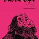 Memories from the Jungle