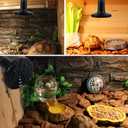 2 x OMAYKEY 100W 2 Pack Ceramic Heat Lamp Bulb Infrared Reptile Heat Emitter Heater Lamps Bulbs for Brooder Coop Chicken Lizard Bearded Dragon Turtle Snake Aquarium, No Light Emitted No Harm (ETL Listed)