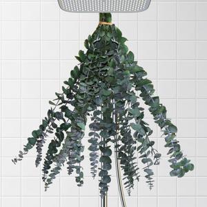 10Pcs Dried Eucalyptus for Shower Hanging-17''Preserved Real Fresh for Green Home Decor,100%Made from Fresh Eucalyptus Leaves Plant,Bathroom Shower Decor,Wedding Decor