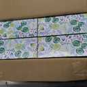 Puffs Plus Lotion Facial Tissues, 8 Family Boxes, 124 Facial Tissues per Box, Allergies and Colds
