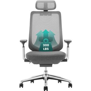 COLAMY Ergonomic Mesh Office Chair, High Back Office Chair, Computer Executive Desk Chair with Lumbar Support, Adjustable Headrest and 4D Arms, Slide Seat, Tilt Lock-Darkgrey