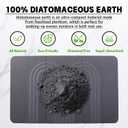Stone Bath Mat Diatomaceous Earth Shower Mat for Bathroom Quick Dry, Gray 1'8" x 2'8" (Rectangular)