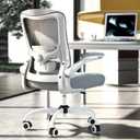 Ergonomic Office Chair for Long Hours, Adjustable Padded Lumbar Support for Lower Back Relief, 330 lb Capacity, Comfortable Computer Desk Chair for Home Office, Work & Study