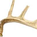 Extra Large Whole Deer Antler Dog Chew - for Large Dogs and Puppies