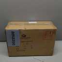 Cat Garden Statues Outdoor Cat-Figurines - Home Garden Decor 16 x 6 x 9.5 inch Resin Cats & Bird Playing Sculpture Statue for Farmhouse Outside Backyard Lawn Gift for Kitten Lovers Newman House Studio