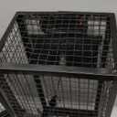 2-Pack Rat Traps Humane Live Mouse Vole Chipmunk Trap Cage for Indoors and Outdoors (Black)