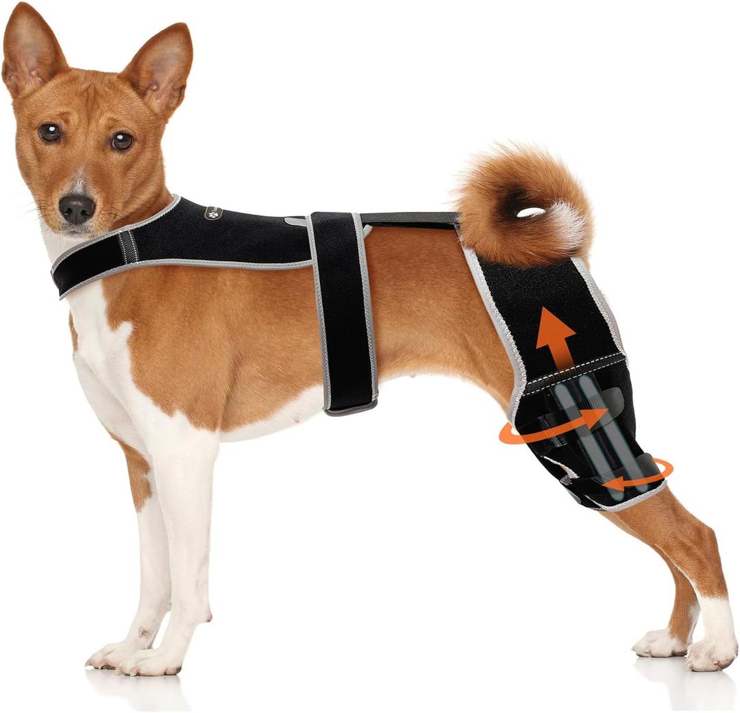 Adjustable Dog Knee Brace for Hind Leg - Double Leg Orthopedic Support with 4 Metal Stabilizers, Vest Design Dog Leg Brace for ACL/CCL Tear, Luxating Patella, Arthritis & Post-Surgery Rehab (L)