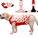 Recovery Suit for Dogs After Surgery - Male and Female Neutering, Spay Surgical Substitute for Cone & E-Collar - Dog Onesie for Abdominal Wounds and Bandages