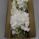 Yastouay 4 Pcs Real Touch Hydrangea Artificial Flowers, 21" White Full Faux Hydrangea Flowers Latex Fake Flowers for Home Decor Party Floral Arrangements Wedding Bouquets Centerpieces Outdoor Decor