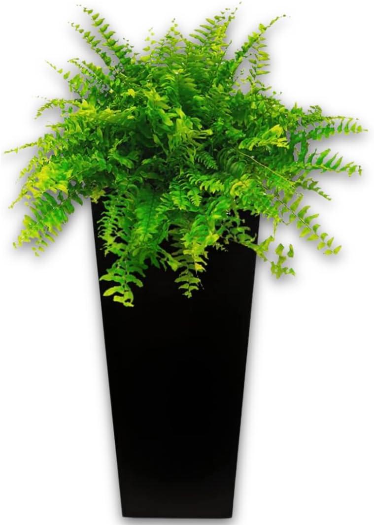 Elly Dcor 22 inch Tall Plastic Planter with Drainage, Large Square Modern Pot, Lightweight,Extremely Durable for Outdoor, Indoors 22" x 12" Black