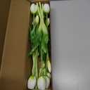 15 Pcs White Tulips Artificial Flowers Faux Tulips Real Touch Latex Fake Flower Bouquet for Spring Wedding Home Dcor Centerpiece Arrangements