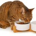 Elevated Ceramic Pet Bowls  Double 13.5oz Raised Cat Dog Bowls with Bamboo Stand | Non-Toxic Ceramic Food Water Dishes | Modern Spill-Resistant Feeder for Small Dogs & Cats