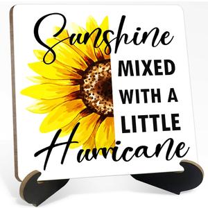 6 x Motivational Desk Decor Sign, Office Desk Decorations Accessories Wooden Plaque Sign, Sunshine Mixed With A Little Hurricane Wooden Signs with Holder Stand