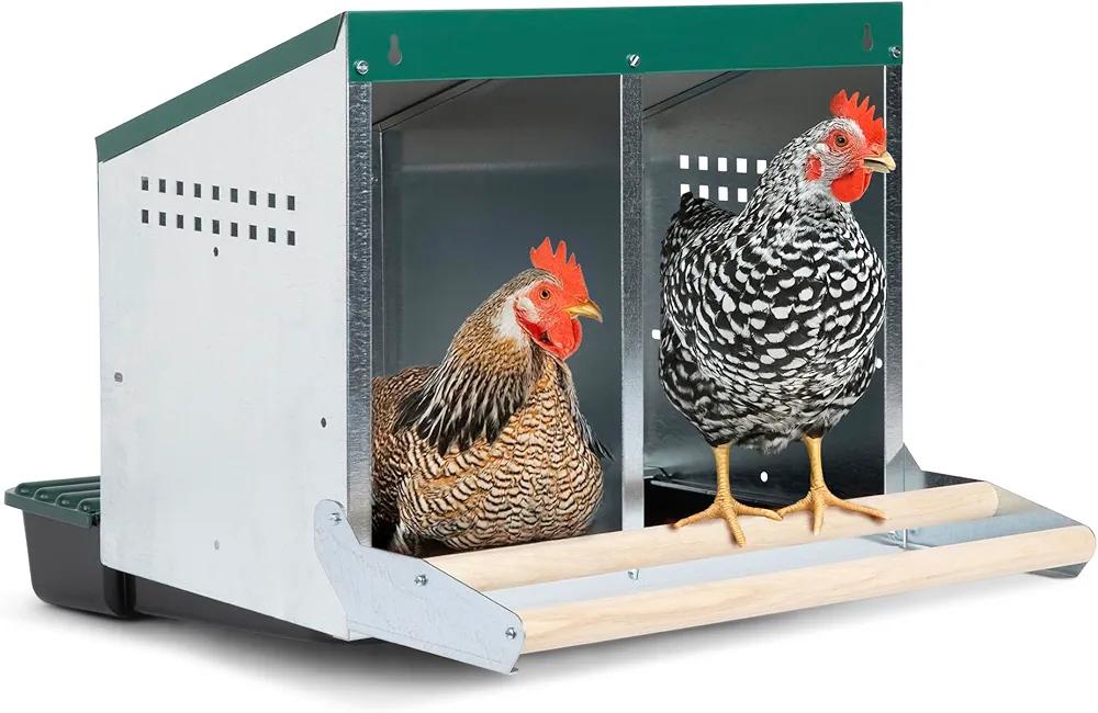 2 Compartment, Reverse Rollout & Rollaway, Hen & Chicken Nesting Box with Integrated Wood Perches and Protective Egg Laying Collection Lids