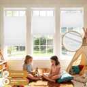 Grandekor Top Down Bottom Up Cellular Shades Cordless, 27" Wx72 H, Pull Down Honeycomb Blinds for Windows Room Darkening Blinds & Shades for Living Room Bedroom, Blackout, White