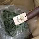 3FT Artificial Cedar Topiary Trees with Ground Spike, Set of 2 UV Resistant Fake Evergreen Bushes Shrubs Trees Artificial Plants Realistic Faux Cypress Plants for Indoor Outdoor Front Porch Garden