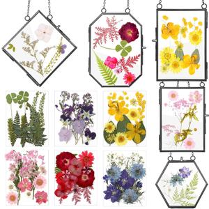 Bucherry 5 Pcs Glass Frame for DIY Pressed Flowers Art Brass Hanging Photo Picture Frame with Chain and 6 Styles Pressed Flowers Collage Glass Craft Frames for Wall Decor Display Gallery (Black)
