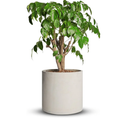 Cement Plant Pots Indoor - 5 ft  Concrete Planter Pot for Planting - Modern Stone Clay Flower Pot with Drainage Hole for Garden, Home, Office Decor, Grey Rocks