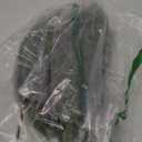 12Pcs Realistic Norfolk Pine Branches -18Inch Artificial Real Touch Christmas Pine Stems Picks Greenery Fake Cedar Pine Branch for Vase DIY Crafts, Xmas Indoor Outdoor Home Decor