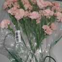 IPOPU Carnations Artificial Flowers 6PCS Fake Silk Carnations 33in Long Flowers for Tall Vases for Wedding Home Table Centerpieces Floral Arrangement(Light Pink)