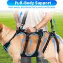 Dog Lift Harness for Large Male Dogs, 2-in-1, Back Leg Support & Mobility Assistance for Senior Dogs, Post-Surgery Recovery Sling(Black, Large)