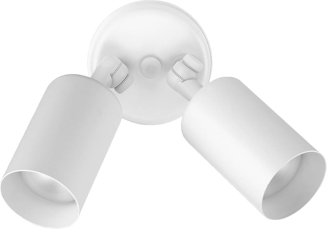 Outdoor Flood Light Fixture - Spot Lights Outdoor Security Light Fixture, Adjustable Double Cylinder Head, 100W, 120V, Weatherproof, Heavy-Duty Aluminum - White Flood Light by NICOR Lighting