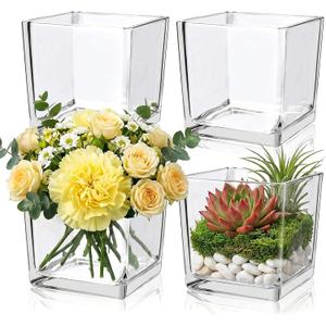 4 Pack Square Glass Vase 6" x 6" x 6", Clear Flower Vase for Centerpieces,Plant Terrarium, Floating Candle Holder for Wedding Centerpieces, Office Decorations, Home Dcor, Parties and Events