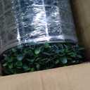 Artificial Boxwood Roll Panel Backdrop: 60"X120" UV-Anti Greenery Faux Grass Wall Hedge for Indoor Outdoor Green Decor & Backyard Background Decorations Fence Covering Privacy